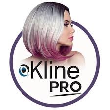 Kline PRO Snapshot H1 2021